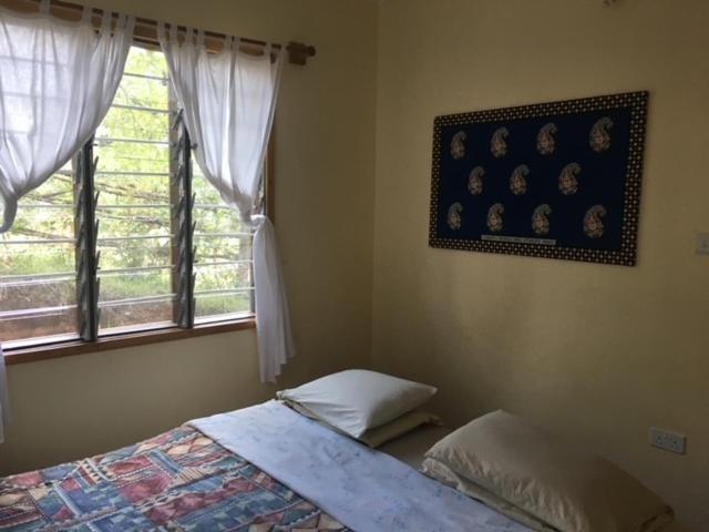 Milemeleni Guesthouse Lushoto Zewnętrze zdjęcie